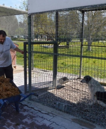 Konyaaltı’nda Sokak Hayvanlarına Mama Üretimi Başladı