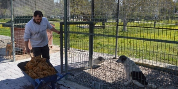 Konyaaltı’nda Sokak Hayvanlarına Mama Üretimi Başladı