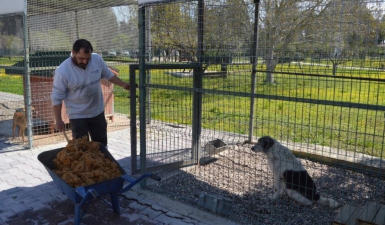 Konyaaltı’nda Sokak Hayvanlarına Mama Üretimi Başladı