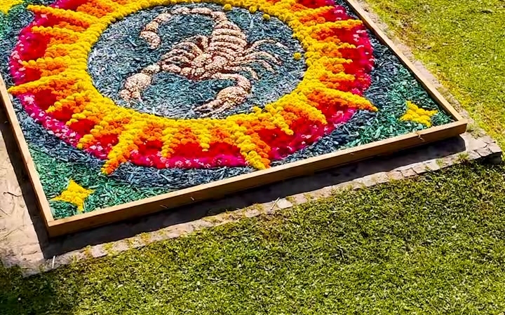 Baharda Renk Cümbüşü: Çiçek Desenleri Festivali