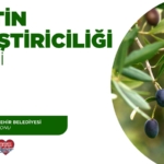 Zeytin Yetiştiriciliği Eğitimi Başlıyor!