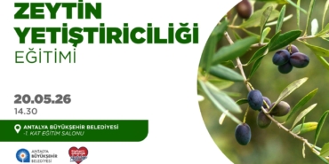 Zeytin Yetiştiriciliği Eğitimi Başlıyor!