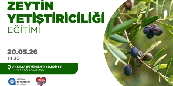 Zeytin Yetiştiriciliği Eğitimi Başlıyor!