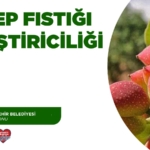 Antalya’da Antep Fıstığı Eğitimi 20 Mayıs’ta!