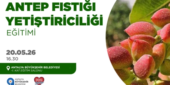 Antalya’da Antep Fıstığı Eğitimi 20 Mayıs’ta!