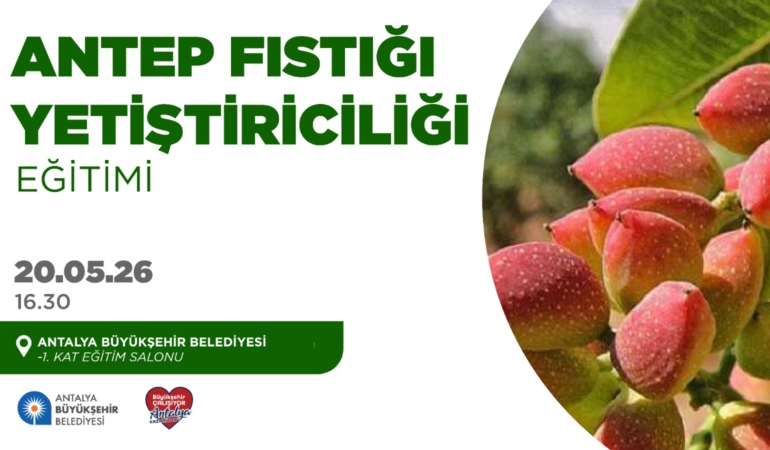 Antalya’da Antep Fıstığı Eğitimi 20 Mayıs’ta!
