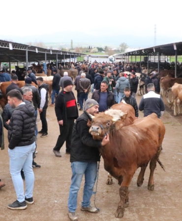 Sandıklı hayvan pazarında kurbanlık yoğunluğu