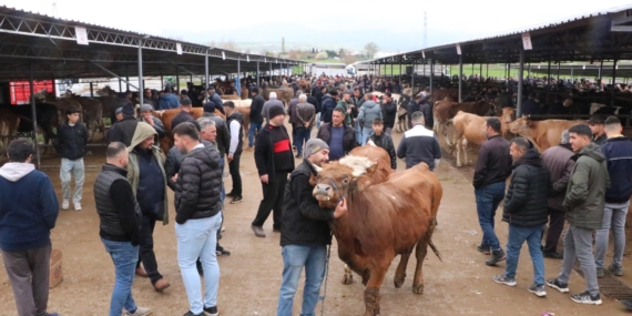 Sandıklı hayvan pazarında kurbanlık yoğunluğu