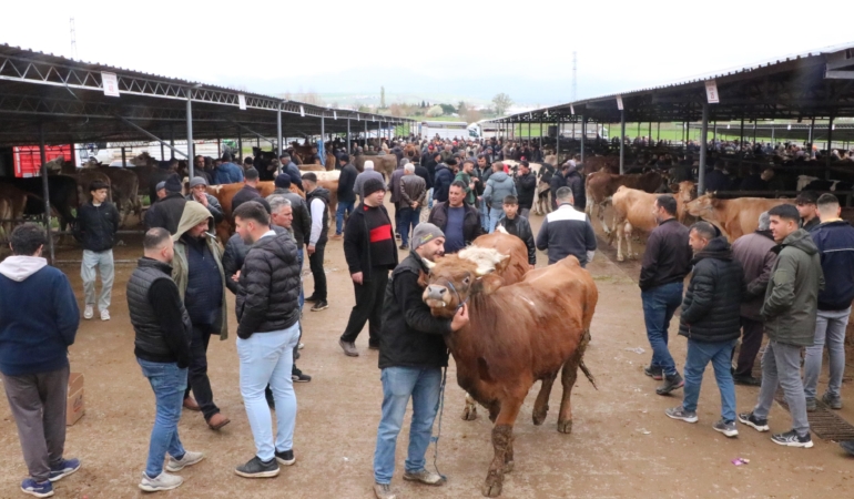 Sandıklı hayvan pazarında kurbanlık yoğunluğu