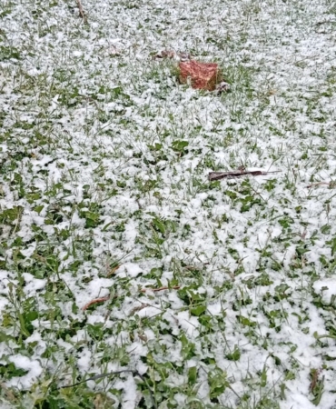 Hocalar’da mayıs ayında kar sürprizi; Bulkaz Dağı beyaza büründü