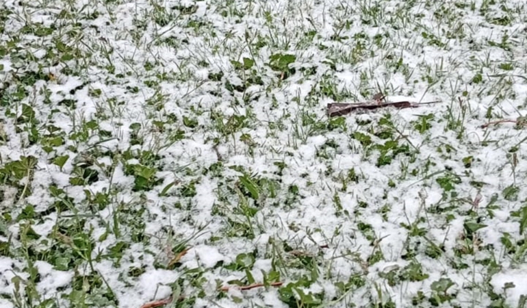 Hocalar’da mayıs ayında kar sürprizi; Bulkaz Dağı beyaza büründü