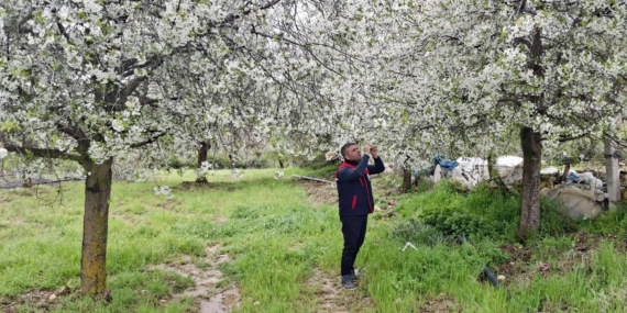 Zirai don ve doğal afetlere karşı saha kontrolü