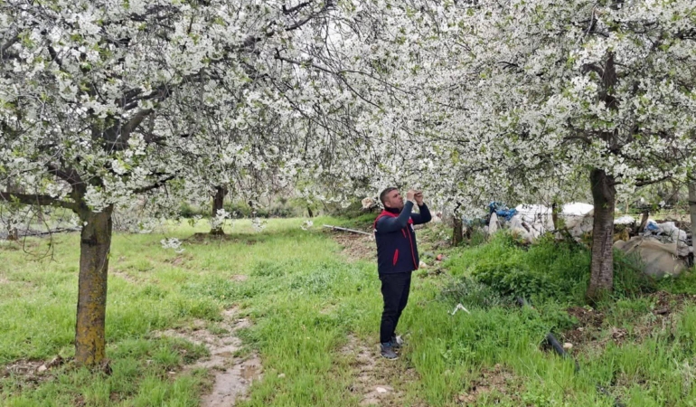 Zirai don ve doğal afetlere karşı saha kontrolü