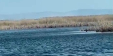 Eber Gölü’nde su seviyesi yükseldi