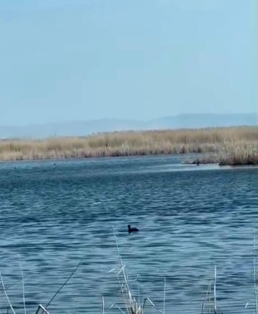 Eber Gölü’nde su seviyesi yükseldi