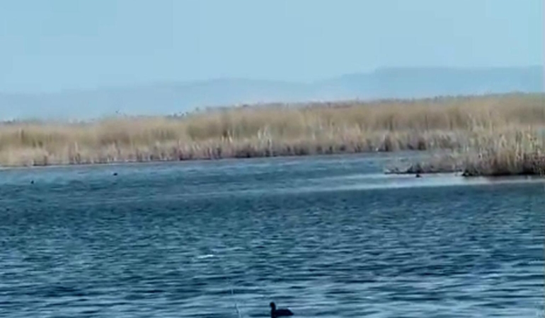 Eber Gölü’nde su seviyesi yükseldi