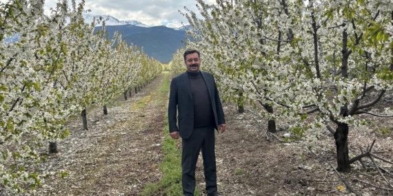 Zirai don endişesi yaşayan üreticiler rahat nefes aldı