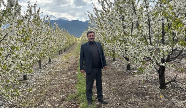 Zirai don endişesi yaşayan üreticiler rahat nefes aldı