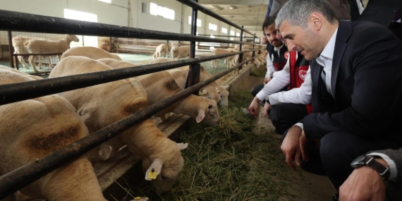 Tarım ve hayvancılık işletmelerine ziyaret