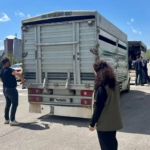 Canlı hayvan nakil araçlarına denetim