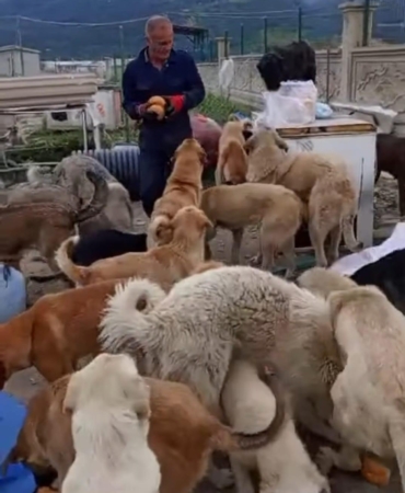Kendini öğrencilere ve patili canlara adadı
