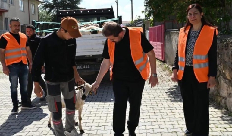 Emirdağ’da 98 aileye kurbanlık verildi