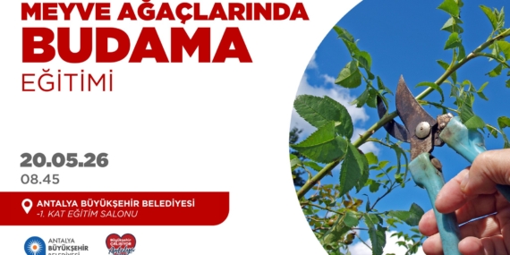 Üreticilere Budama Eğitimi: Katılın!