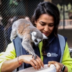 Lemur Ailesine Sevimli Bir Üye Daha Katıldı! 🐒🌿