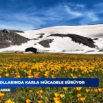 Akseki Yaylası’nda Kar Küreme Çalışmaları Başladı