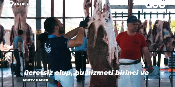 Kurban İbadeti İçin Hijyenik Kesim Noktaları